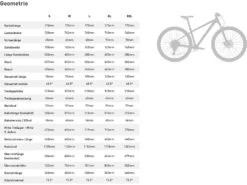 Specialized Rockhopper Sport 29, Forest Green/oasis -Fahrrad Markt 03c8e3b1 b112 498a ad17 225313f8317d 4