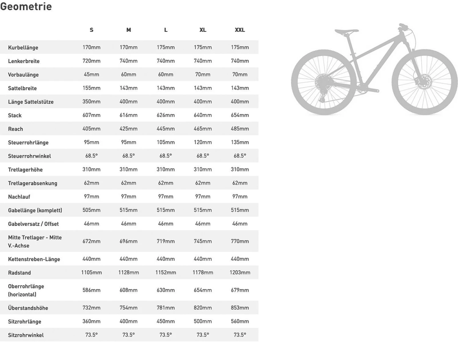 Specialized Rockhopper 29, Olive Green/black 5 Specialized Rockhopper 29, Olive Green/black – Bild 5