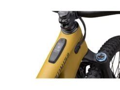 Specialized Turbo Levo Expert Carbon, Harvest Gold/obsidian -Fahrrad Markt 152c02a4 50e8 4cfa 8847 915c66e0a494