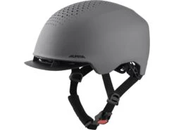 Alpina Idol, Coffee/grey Matt