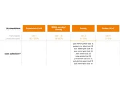 Uvex Sportstyle 232 P - Polavision Mirror Red, Black Mat Red 11 Uvex Sportstyle 232 P - Polavision Mirror Red, Black Mat Red -Fahrrad Markt 40a8157b aa17 4e30 865f 657ccaa42f9f 1