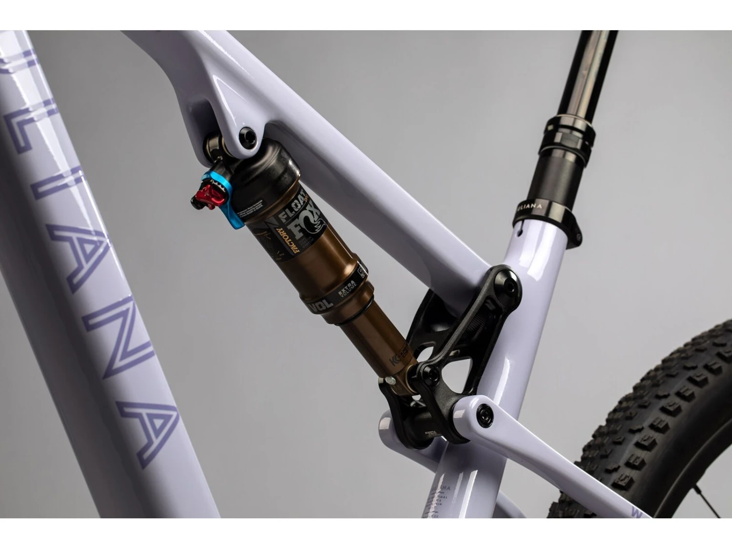 Juliana Wilder C / R / TR / 29, Purple Sweetness / Lavender 4 Juliana Wilder C / R / TR / 29, Purple Sweetness / Lavender – Bild 4