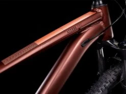 Cube Access WS Pro 29, Rubymetal´n´pink -Fahrrad Markt 5d3026d7 0415 4cf4 8106 afd8eae1854a