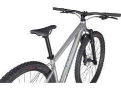 Specialized Rockhopper Expert 29, Silver Dust/black Holographic -Fahrrad Markt 66ba976f cf9d 4a42 85c9 a0ee731e60c0