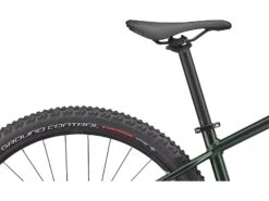 Specialized Rockhopper Expert 29, Oakgreen Metallic/metallic White Silver -Fahrrad Markt 6c162594 5e87 4cfe 83d2 6e996cd7de47