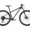 Specialized Rockhopper Expert 29, Oakgreen Metallic/metallic White Silver