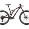 Specialized Stumpjumper Comp Alloy, Cast Umber/clay