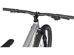 Specialized Rockhopper Expert 29, Silver Dust/black Holographic -Fahrrad Markt 9c78b5cf 8b4a 4231 b6b4 611556d4ab35