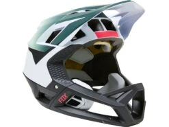 Fox Proframe Helmet Graphic 2, White