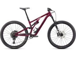 Specialized Stumpjumper Evo Comp Alloy, Gloss Raspberry/back