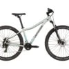 Cannondale Trail Women's 8 - 29, Sage Gray