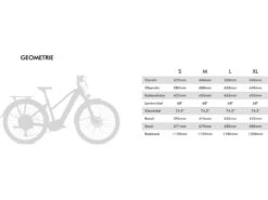 Titelseite -Fahrrad Markt c064030a 4124 4322 a467 673e17e5a907