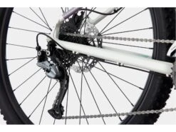 Cannondale Trail Women's 7 - 29, Iridescent -Fahrrad Markt c9ebdab6 5793 4c62 b501 aaaeef020f91