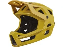 IXS Trigger FF MIPS, Acacia
