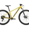 Specialized Rockhopper Comp 29, Brassy Yellow/black